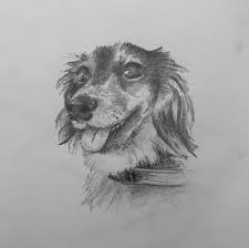 Among the reasons are user errors. Trying To Get Back Into Drawing Oc And Dog Album On Imgur