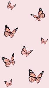 Iphone Wallpaper Vsco Hintergrundbildiphone Tapete Iphonewallpaper Iphone Wallpaper In 2020 Simple Iphone Wallpaper Iphone Wallpaper Vsco Butterfly Wallpaper Iphone