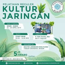 Apa Itu Kultur Jaringan Teknik Perbanyakan Tanaman Dalam Botol Dengan Keadaan Steril Tanaman Apa Saja Yang Bisa Dikultur Kan Tanaman Tanaman Obat Flora