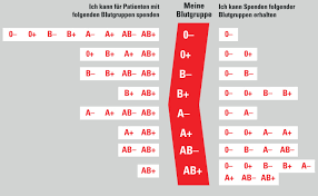 Kennen Sie Ihre Blutgruppe Berner Samariter