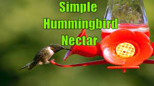 Check spelling or type a new query. How To Make A Simple Hummingbird Nectar At Home Without Boiling Youtube