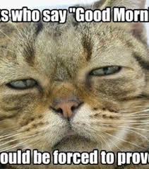 Life is so short my friend, and the days even shorter. Good Morning Funny Pics Images On Favim Com