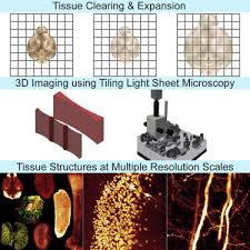 نتیجه جستجوی لغت [cleared] در گوگل