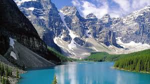 Di tempat ini tidak ada pohon, yang tumbuh hanya jenis lumut. Pengertian Bioma Tundra