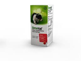 Intestinal parasites such as roundworms, hookworms, tapeworms. Drontal Drontal For Dogs Cats Drontal Plus Wormer Viovet