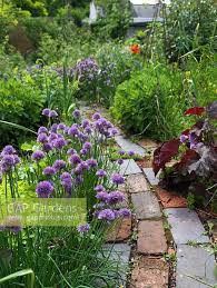 Path Edged In Oregano Sedum Heuchera Rocket Chives Alchemilla Alys Fowler S 18m X 6m Organ Low Maintenance Garden Design Garden Design Stone Landscaping