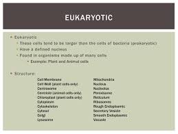 Animal cell vs plant cell vs bacterial cell. Ppt What S The Difference Plant Animal And Bacterial Cells Powerpoint Presentation Id 1927954