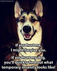Hurt My Dog And I Will Make You Wish You Were Never Born Dogs Dog Memes Dog Quotes