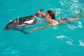 Woman Swimming With Dolphin In Pool Affiliate Swimming Woman Pool Dolphin Ad Dolphins Dolphin Pools Dolphin Encounters