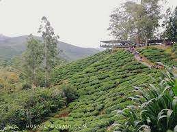Bercuti di hotel berhantu cameron highland (kisah benar) к. Syok Bercuti Di Cameron Highlands Pada Raya Aidiladha 2018 Husniey Husain