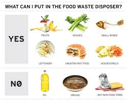Looking for the best garbage disposal for your kitchen? What Not To Put In A Garbage Disposal Insinkerator