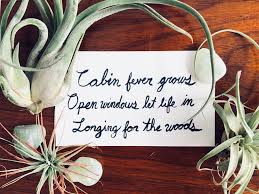 Most haiku poems are about one simple thing, since the poet has only 3 lines to work with. This Is A Story Br About Social Distancing Br And Haiku Collage Kqed