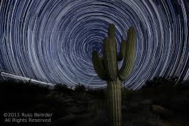 A cactus (plural cacti, cactuses, or less commonly, cactus) is a member of the plant family cactaceae, a family comprising about 127 genera with some 1750 known species of the order. Elevation Of Cave Creek Az Usa Topographic Map Altitude Map