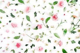 New users enjoy 60% off. Floral Pattern Made Of Pink And Beige Roses Green Leaves Branches Stock Photo Picture And Royalty Free Image Image 69603449