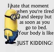I want to sleep meme. 28 Can T Sleep Humor Ideas Humor Funny Quotes Bones Funny