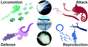 A golden eagle's nest is pretty big, but it's not big enough for the two to three eaglets that dwell within. Complex Fluids In Animal Survival Strategies Soft Matter Rsc Publishing
