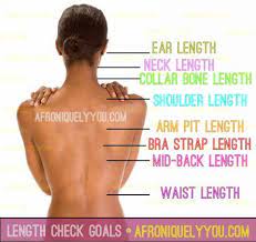 Length Checks Natural Hair Styles Relaxed Hair Hair Lengths