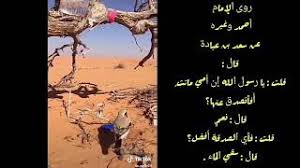 أفضل الصدقات سقي الماء Youtube