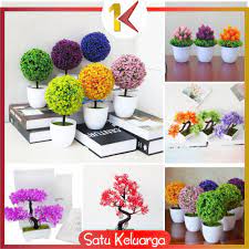 Maybe you would like to learn more about one of these? Bunga Hias Harga Terbaik Agustus 2021 Shopee Indonesia