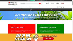 It's unlikely an online seed bank would stay in business long if it were selling dirt weed. Best Place To Buy Marijuana Seeds Safe Online Seed Banks Grow Light Info