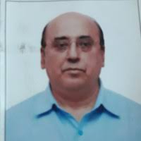 70+ "Dhamija" profiles