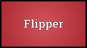 Flipper Meaning Youtube
