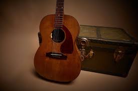 Image result for Brown 1968 Fleet