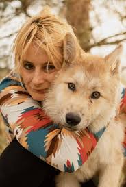 This pup is only 12 weeks old (Wolfdog 70.2% content) : r/WolvesAreBigYo