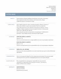 C V Intemporel Basic Resume Resume Template Professional Job Resume Template