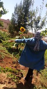 Yenikoy Fotograf Kopya Kagidi Makro Fotografcilik Fotograf