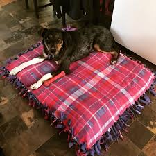 Easy Dog Bed Stuff A Fleece Tie Blanket With Old Clothes Towels Blankets Finn Says He Approves Dogpictures Dogs Easy Dog Bed Diy Dog Bed Blanket Dog Bed