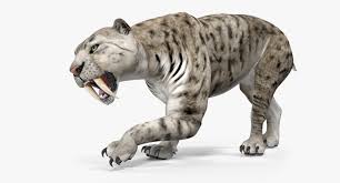 Arctic Saber Tooth Cat 3d Model Turbosquid 1329521 Sabertooth 3d Model Arctic