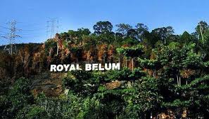 Check spelling or type a new query. Lelaki Thai Ditahan Ceroboh Taman Negeri Royal Belum Sahih