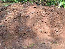 Essentially Loam The Red Sandy Loam Soil Of Coorg