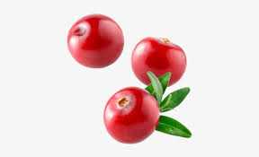 Cranberry Cranberry Png Transparent Png 400x420 Free Download On Nicepng Gooseberry icon vector isolated on white background, logo concept of gooseberry sign on transparent background, black. cranberry cranberry png transparent