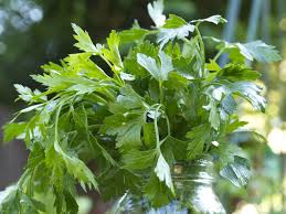 We did not find results for: The Easiest Way To Preserve Parsley Kitchn