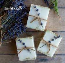 The scent will not make it through in soap. How To Make Herbal Soap Without Handling Lye Triple Aloe Melt Pour Recipe