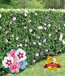 Pin Auf Garten