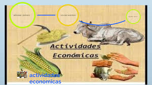 En la teoría económica, se distinguen dos enfoques diferenciados: Actividades Economicas By Kiara Yanina Barrios Moreno