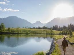 Entity featured on fitch ratings. Afore Xxi Banorte World Finance