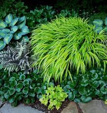 My Favorite Plant Combinations 15 Shade Garden Shade Plants Beautiful Gardens