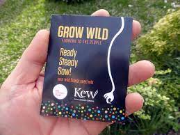 Welcome to pretty wild seeds, a grass and wildflower seed specialist which, at its very heart, is a family run business. Free Spring Wildflower Seeds Latestfreestuff Co Uk