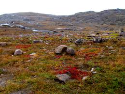 The canadian shield is manufacturer of personal protective equipment (ppe) products in ontario ^ climograph for moosonee, on. Canadian Arctic Tundra Wikipedia