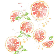 Rose Jocham On Instagram A Little More Pink Grapefruit And Orange Blossom Illustration Fruit Paint Water Pink Grapefruit Watercolor Fruit Fruit Painting