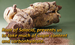 Image result for Salacia orientalis