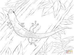 The pj masks coloring pages, which you can print for free on the website, are the best way to see who they are becoming. Madagascar Day Gecko Coloring Page Supercoloring Com Unicorn Coloring Pages Printable Flower Coloring Pages Flowers Coloring Pages