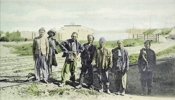 Chinese Labourers Going to Work.'' Colored Print. (Museum Africa,... | Download Scientific Diagram