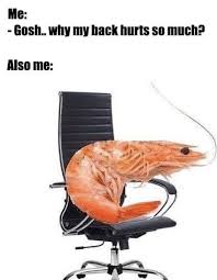 Maybe you would like to learn more about one of these? Funniest Memes From Around The Web