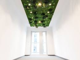 Mooswande Mit Bildern Mooswand Pflanzenwand Deckenarchitektur