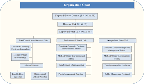 Organization Chart